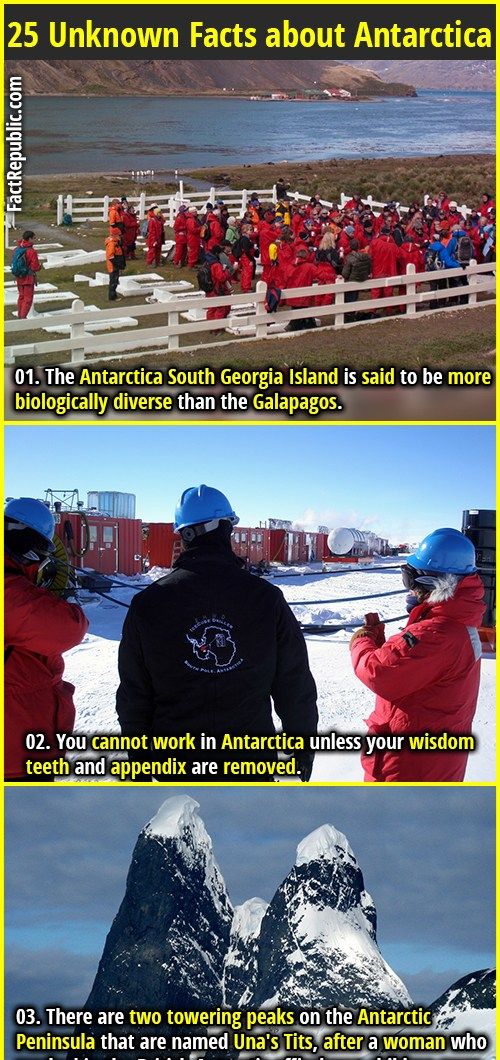 5 Surprising Antarctic Facts That Connect to Trump’s Worldview